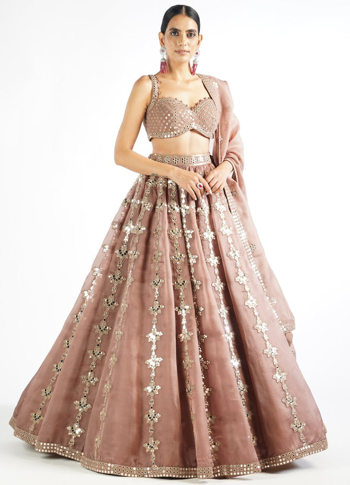Deep Beige Chandelier Drop Lehenga Set Vvani by Vani Vats - Fabilicious Fashion
