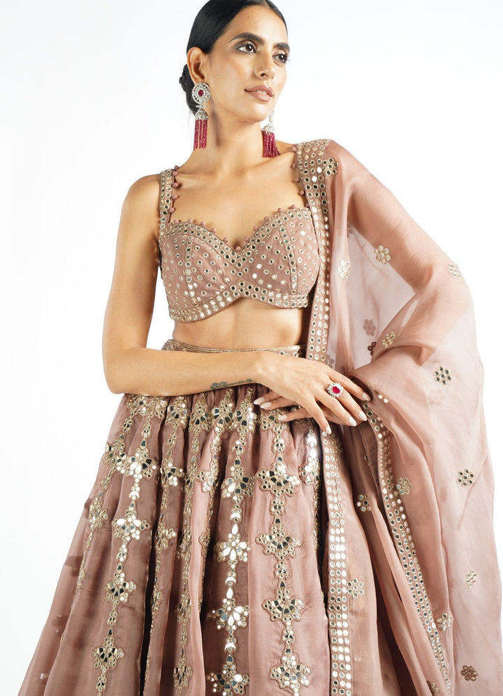 Deep Beige Chandelier Drop Lehenga Set Vvani by Vani Vats - Fabilicious Fashion