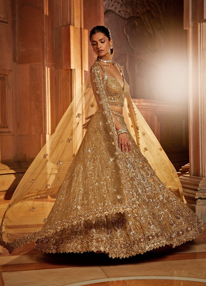 Glam Gold Tulle Lehenga Set Nitika Gujral - Fabilicious Fashion