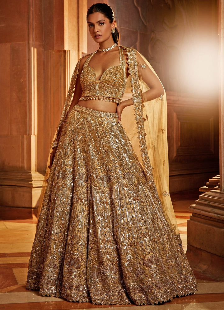 Glam Gold Tulle Lehenga Set Nitika Gujral - Fabilicious Fashion