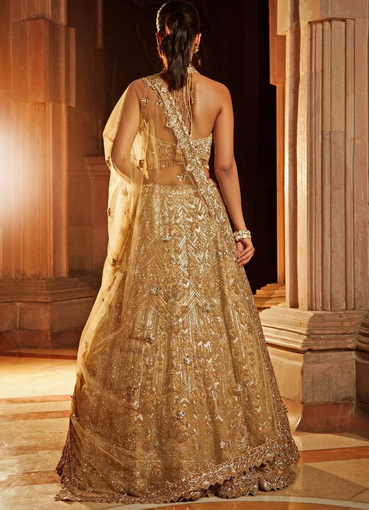 Glam Gold Tulle Lehenga Set Nitika Gujral - Fabilicious Fashion