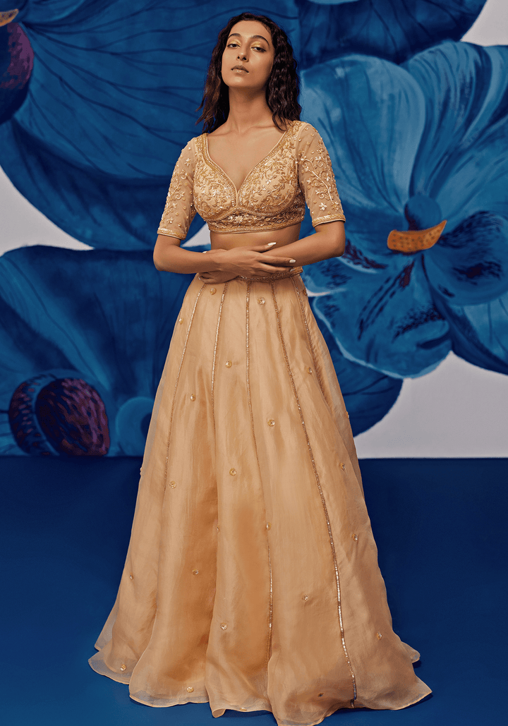 Gold Silk Organza Embroidered Lehenga Set Zoon Tribe - Fabilicious Fashion