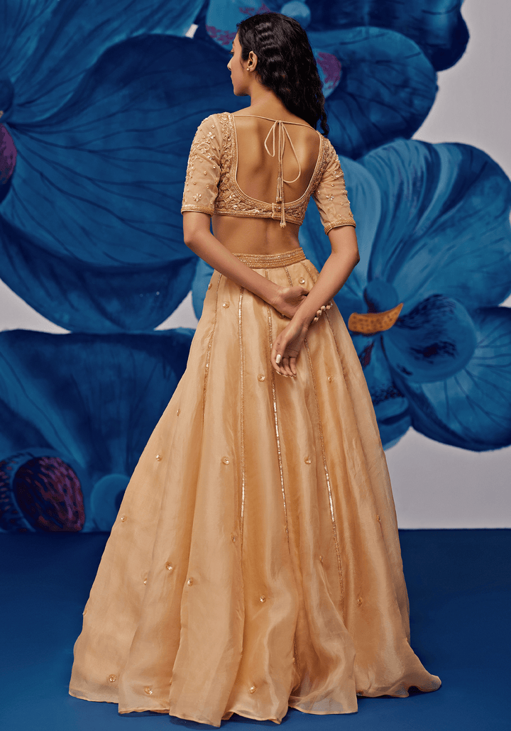 Gold Silk Organza Embroidered Lehenga Set Zoon Tribe - Fabilicious Fashion