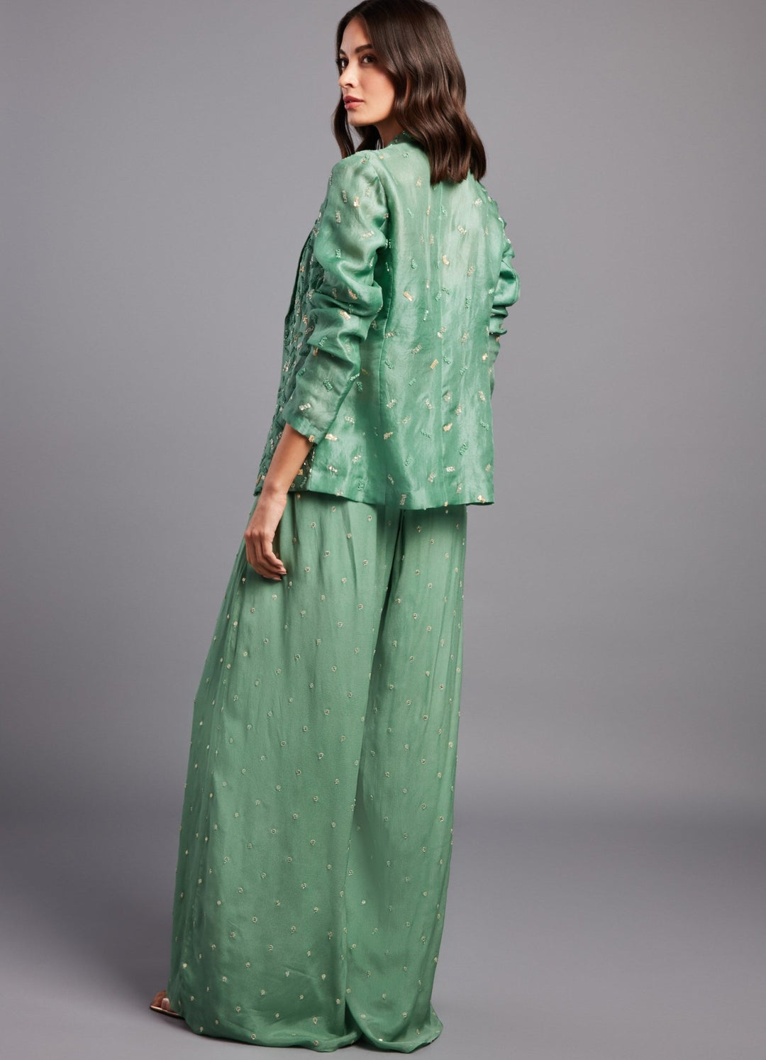 Grace Sage Green Organza Jacket Set Chamee n Palak - Fabilicious Fashion