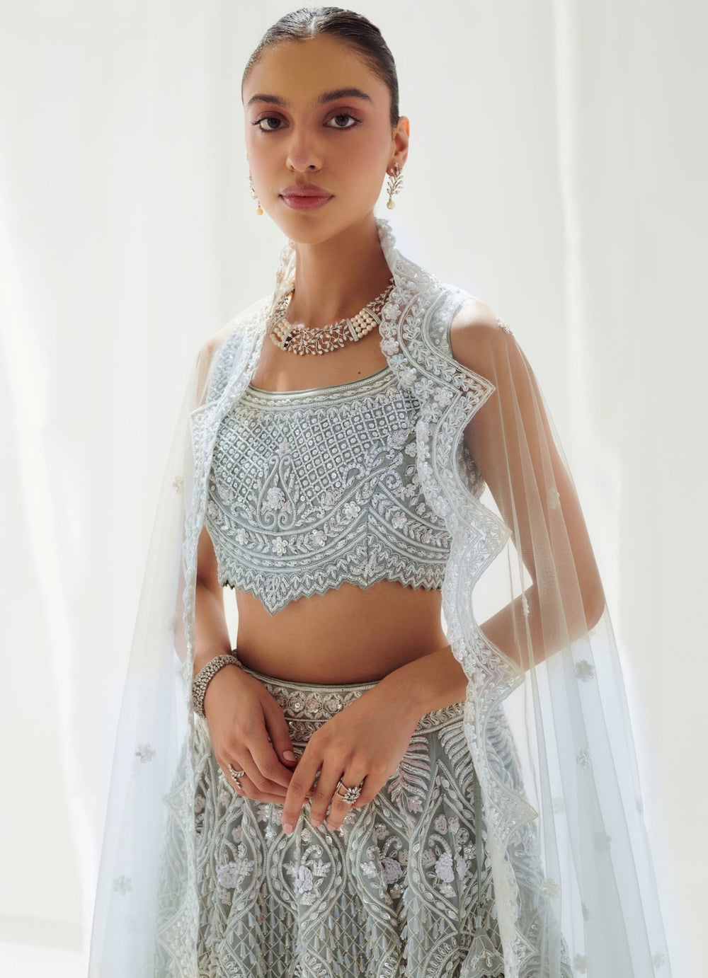 Grey Embellished Organza Lehenga Set With Sleveless Blouse Suhino - Fabilicious Fashion