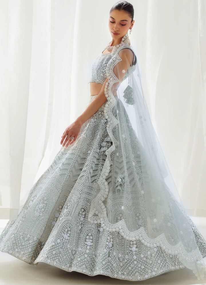 Grey Embellished Organza Lehenga Set With Sleveless Blouse Suhino - Fabilicious Fashion