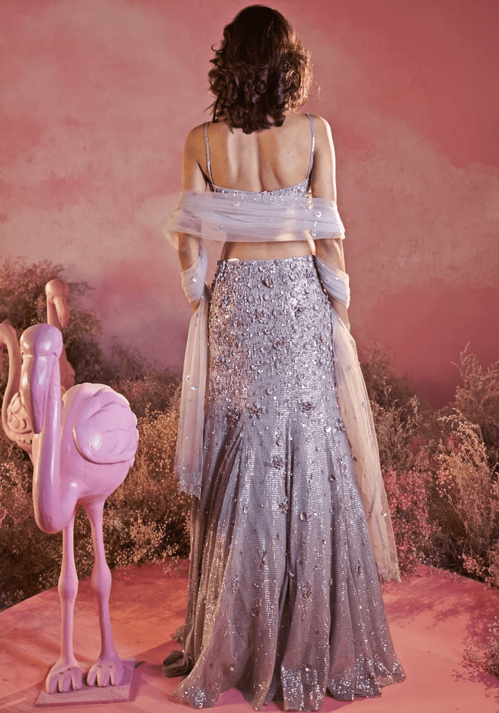 Grey Sequins Fitted Lehenga Set Parul Gandhi - Fabilicious Fashion