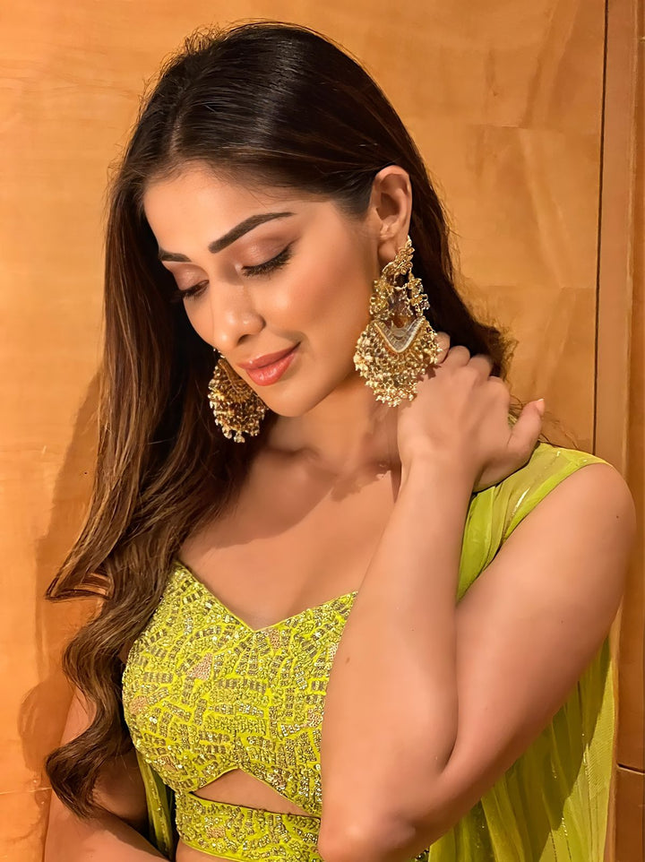 Gul Drape Lehenga And Jacket Chamee n Palak - Fabilicious Fashion