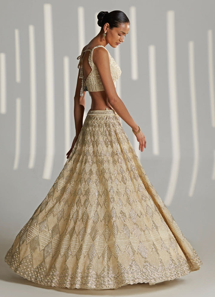 Heera Lehenga Set Angad Singh - Fabilicious Fashion