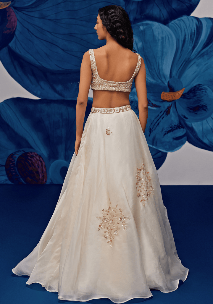 Ivory and Gold Embroidered Lehenga Set Zoon Tribe - Fabilicious Fashion