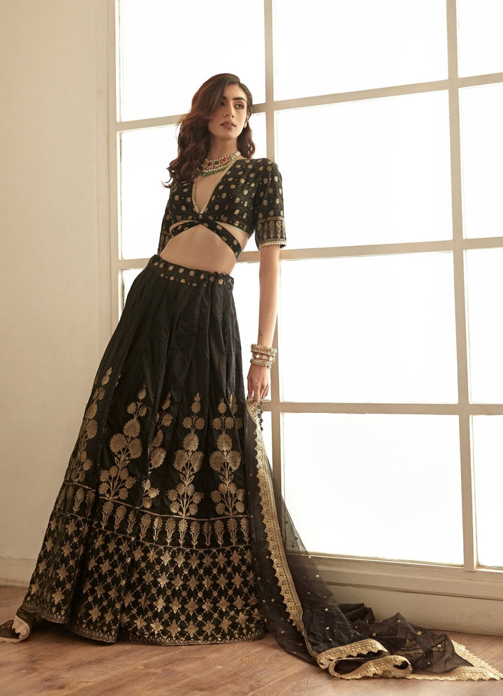Jet Black and Gold Classic Banarasi Lehenga Set Studio Iris - Fabilicious Fashion