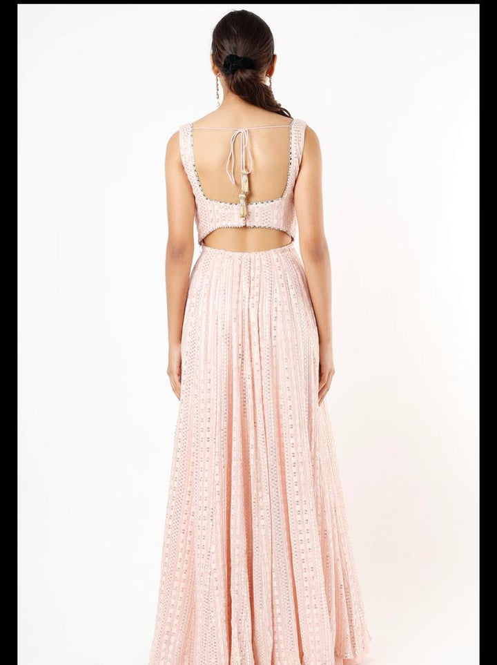 Kira Champagne Blush Anarkali Gown Renee - Fabilicious Fashion