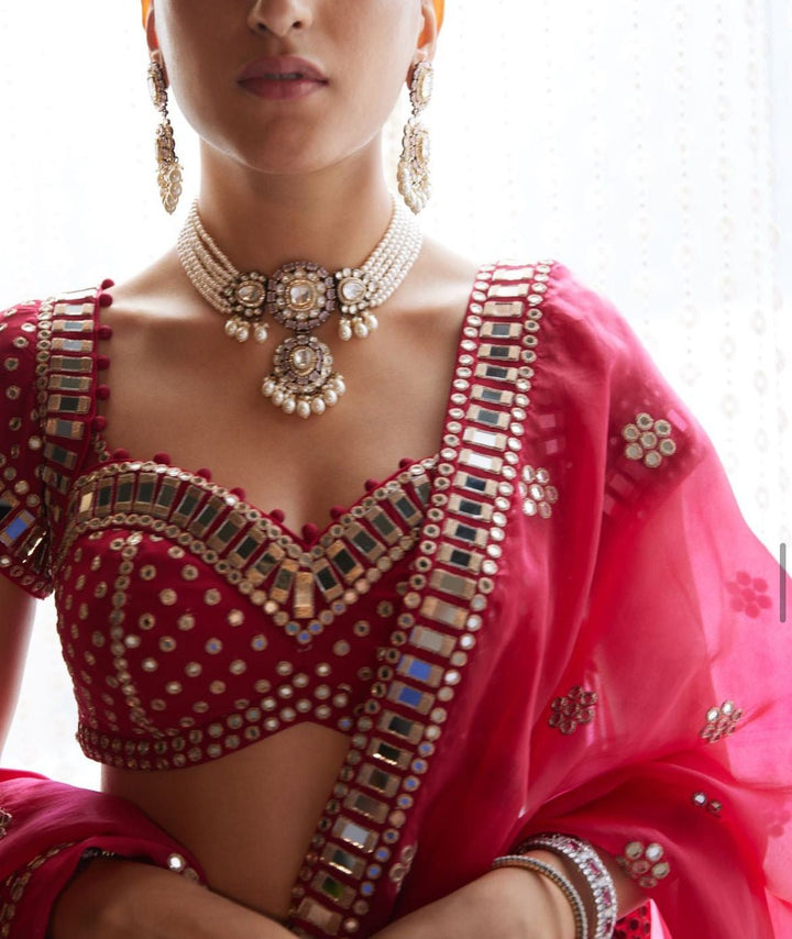 Mellow Wine Small Flower Linear Lehenga Set Vvani by Vani Vats - Fabilicious Fashion