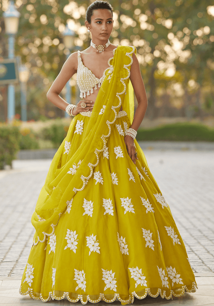 Moss Green Applique Lehenga With Sequinned Blouse Vvani by Vani Vats - Fabilicious Fashion