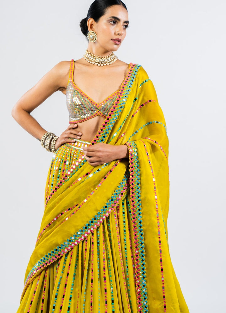 Moss Green Multi Linear Drop Lehenga With Metallic Sequinned Blouse. Vvani by Vani Vats - Fabilicious Fashion