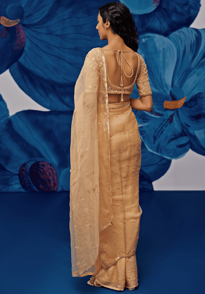 Muted Gold Chiffon Pre-Stitched Draped Saree Set Zoon Tribe - Fabilicious Fashion