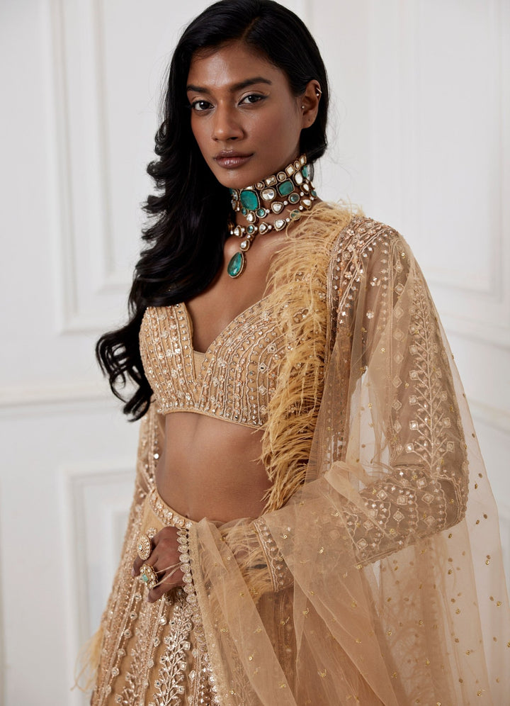 Muted Gold Embroidered Lehenga Set Chamee and Palak - Fabilicious Fashion