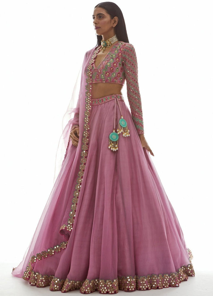 Muted Pink Applique Organza Lehenga Set Vvani by Vani Vats - Fabilicious Fashion