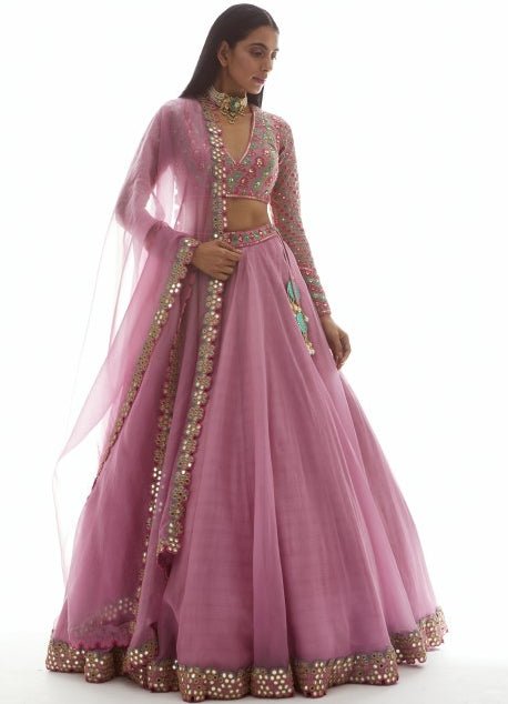 Muted Pink Applique Organza Lehenga Set Vvani by Vani Vats - Fabilicious Fashion