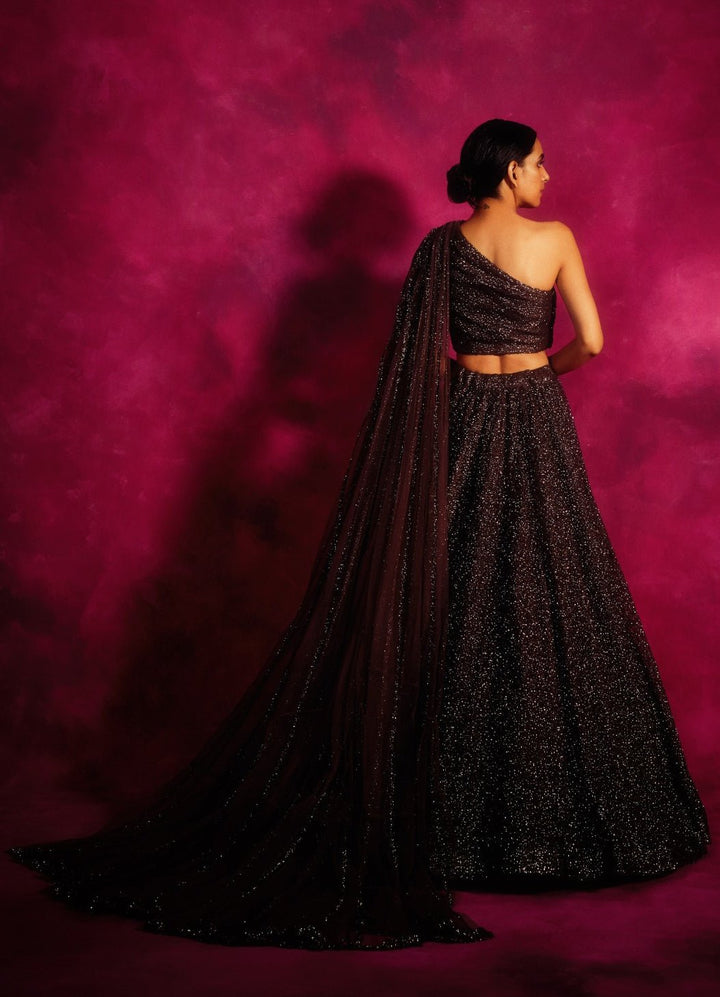 Muted Silver Lehenga Set Vvani by Vani Vats - Fabilicious Fashion