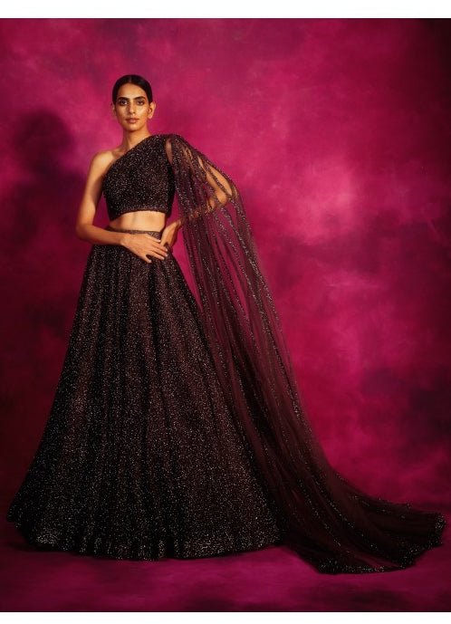 Muted Silver Lehenga Set Vvani by Vani Vats - Fabilicious Fashion