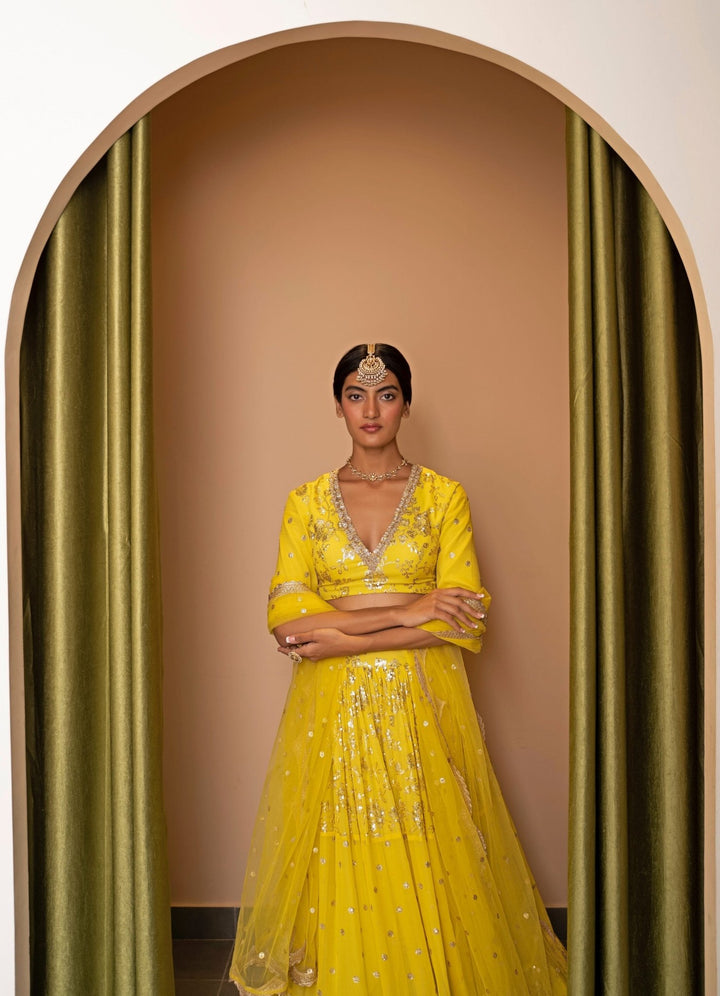 Nargis Lehenga Set Studio Iris - Fabilicious Fashion
