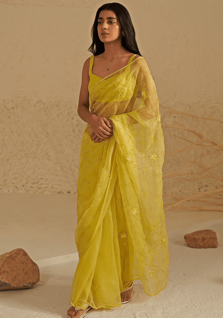 Neon Green Organza Silk Embroidered Saree Set Zoon Tribe - Fabilicious Fashion