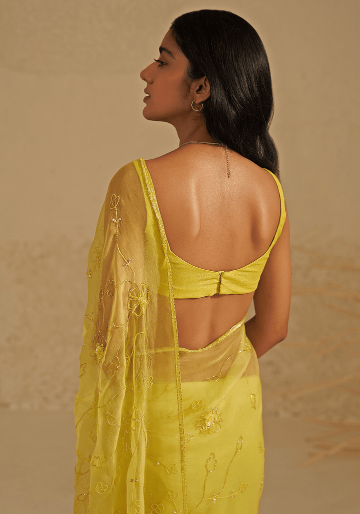 Neon Green Organza Silk Embroidered Saree Set Zoon Tribe - Fabilicious Fashion