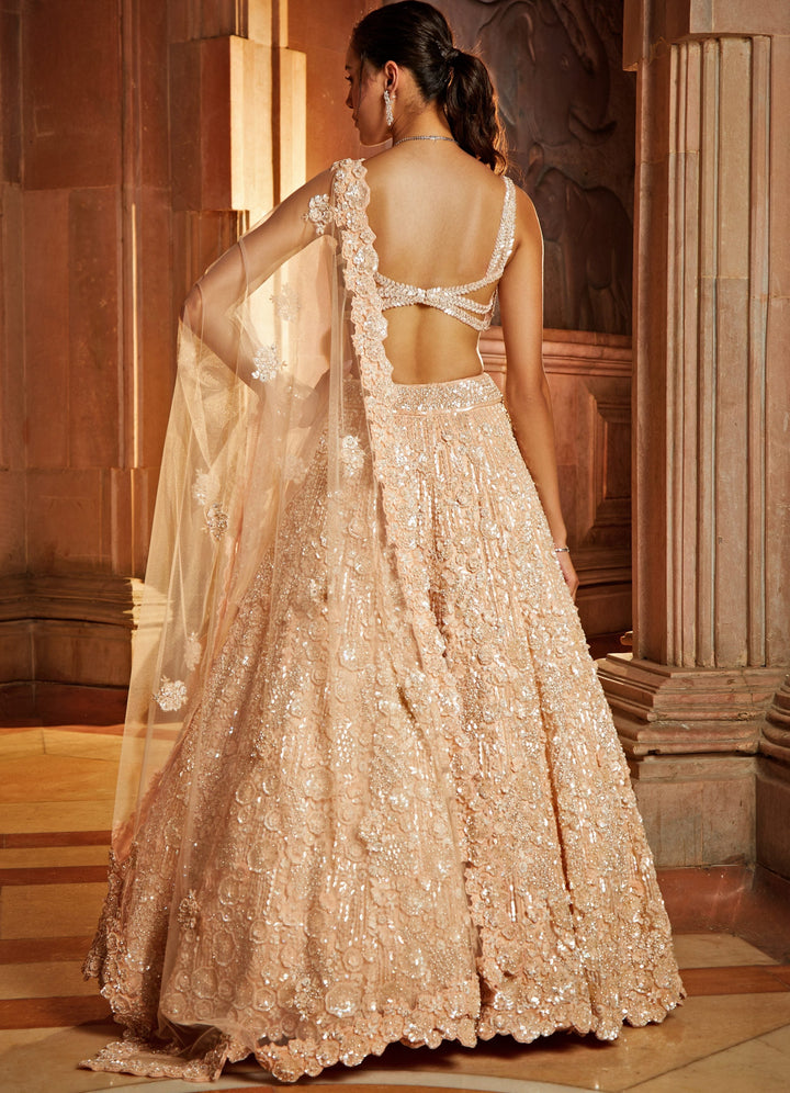 Peach Tulle Lehenga Set Nitika Gujral - Fabilicious Fashion