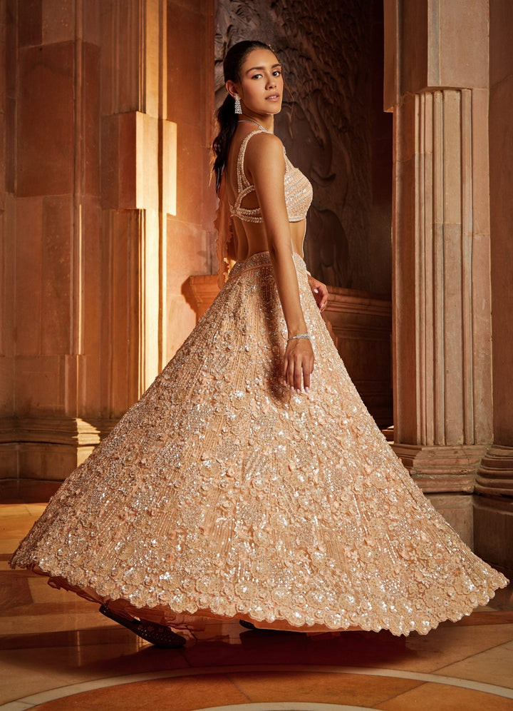 Peach Tulle Lehenga Set Nitika Gujral - Fabilicious Fashion
