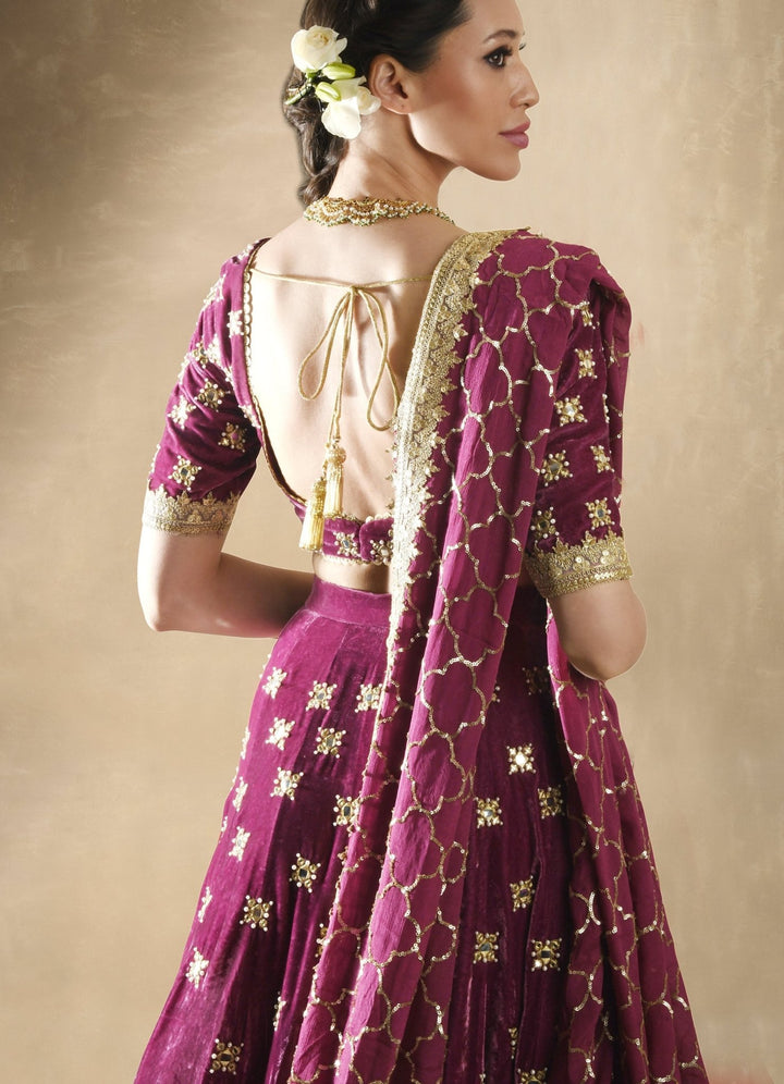 Petunia Velvet Mirrorwork Lehenga Set Renee - Fabilicious Fashion