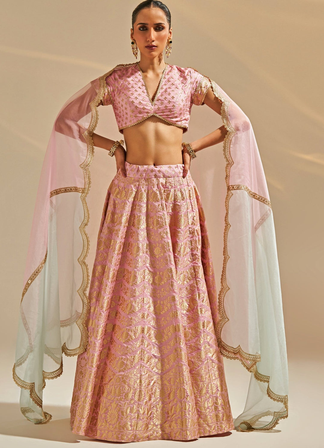 Pink Embroidered Banarsi Silk Lehenga Set Studio Iris - Fabilicious Fashion