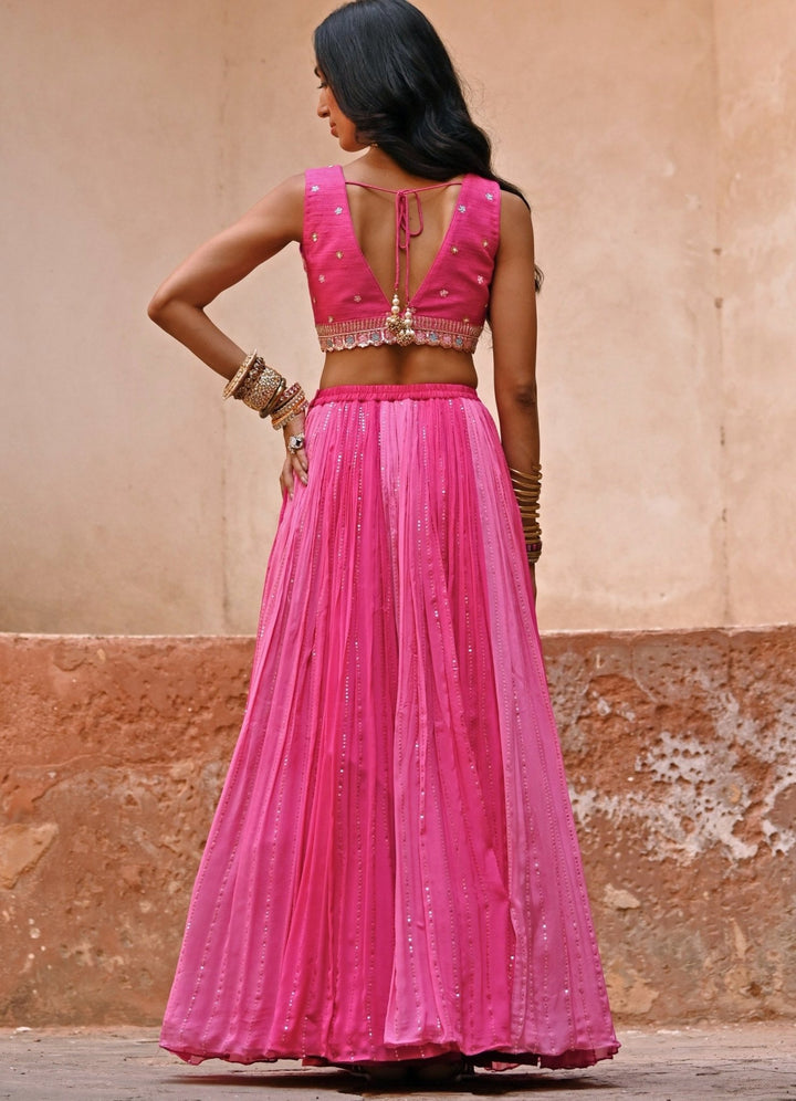 Pink Medly Embroidered Lehenga Set Chamee n Palak - Fabilicious Fashion