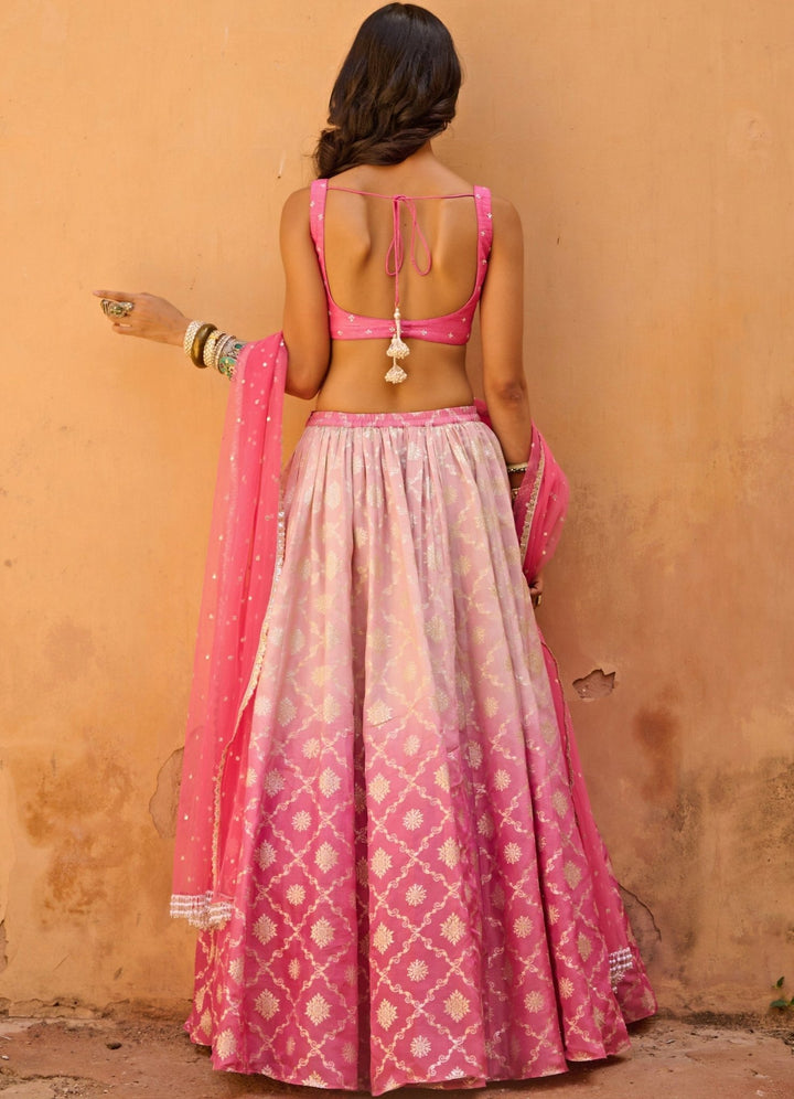 Pink Melody Raw Silk Lehenga Set Chamee n Palak - Fabilicious Fashion