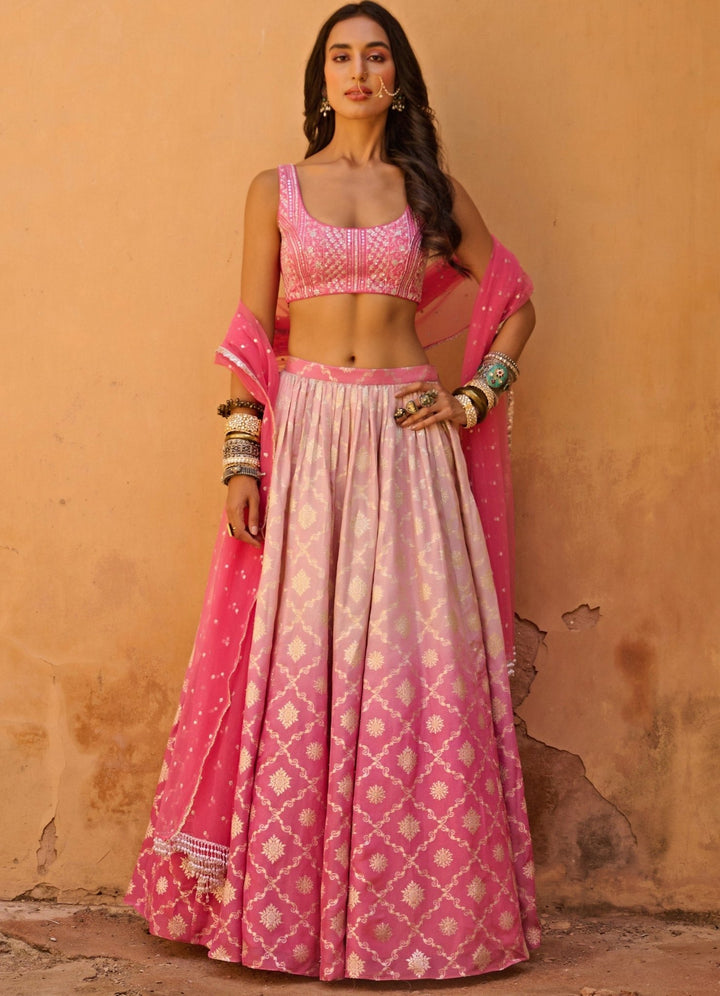 Pink Melody Raw Silk Lehenga Set Chamee n Palak - Fabilicious Fashion