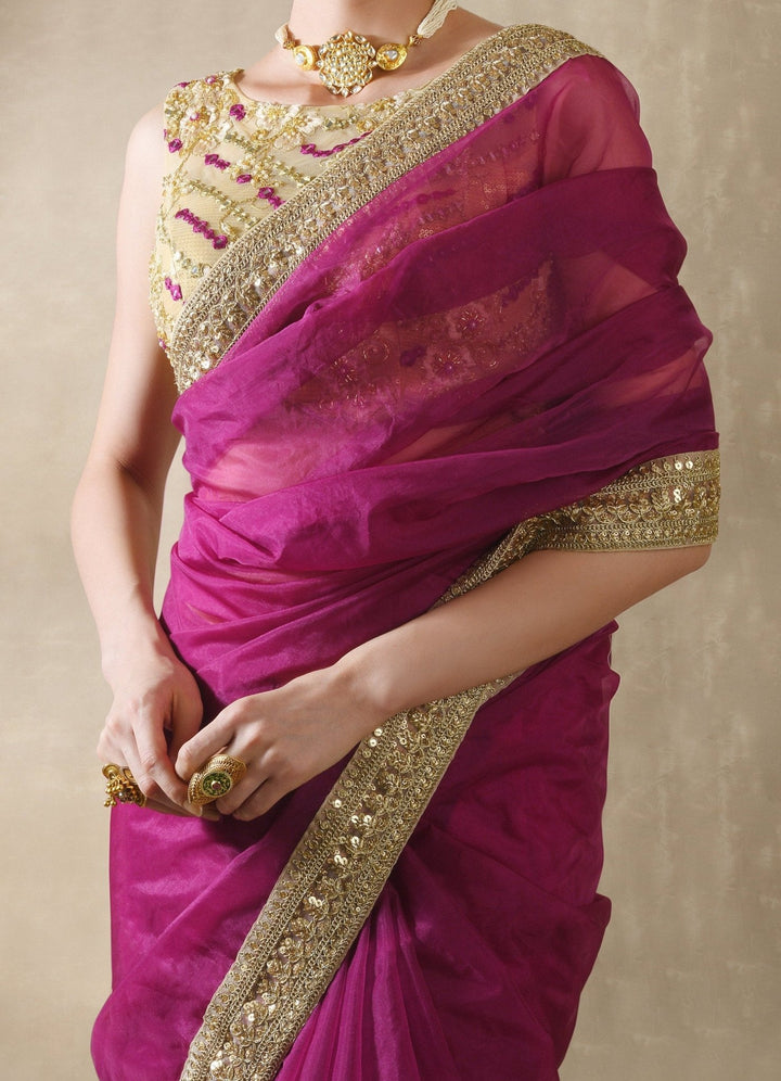 Pomegranate Organza Saree with Mirror Work Blouse Renee - Fabilicious Fashion