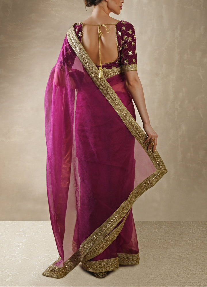Pomegranate Organza Saree with Petunia Velvet Blouse Renee - Fabilicious Fashion