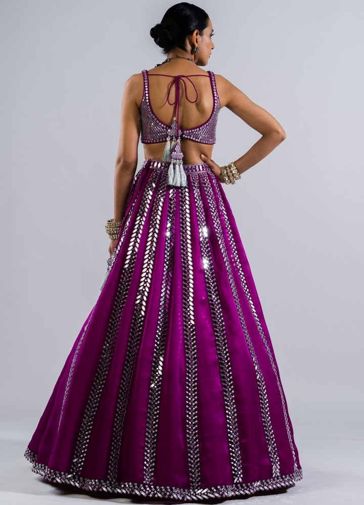 Pop Wine Single Linear Drop Mirror Lehenga With Metallic Sequinned Blouse Vvani by Vani Vats - Fabilicious Fashion