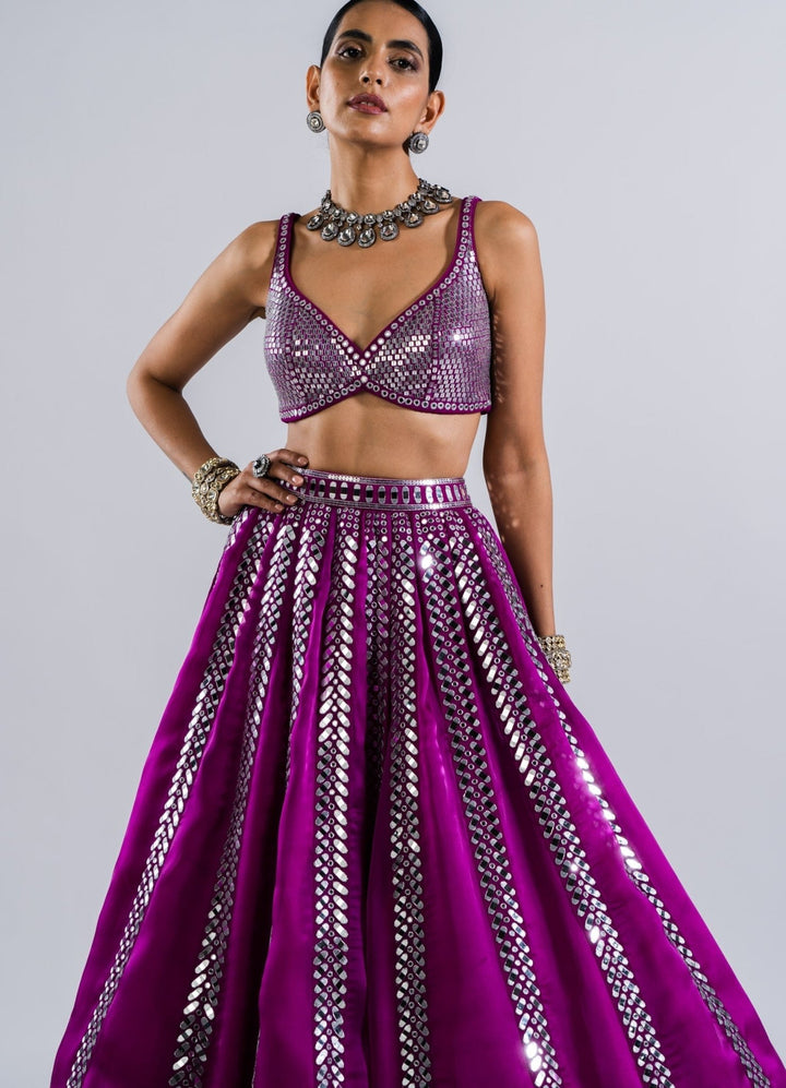 Pop Wine Single Linear Drop Mirror Lehenga With Metallic Sequinned Blouse Vvani by Vani Vats - Fabilicious Fashion