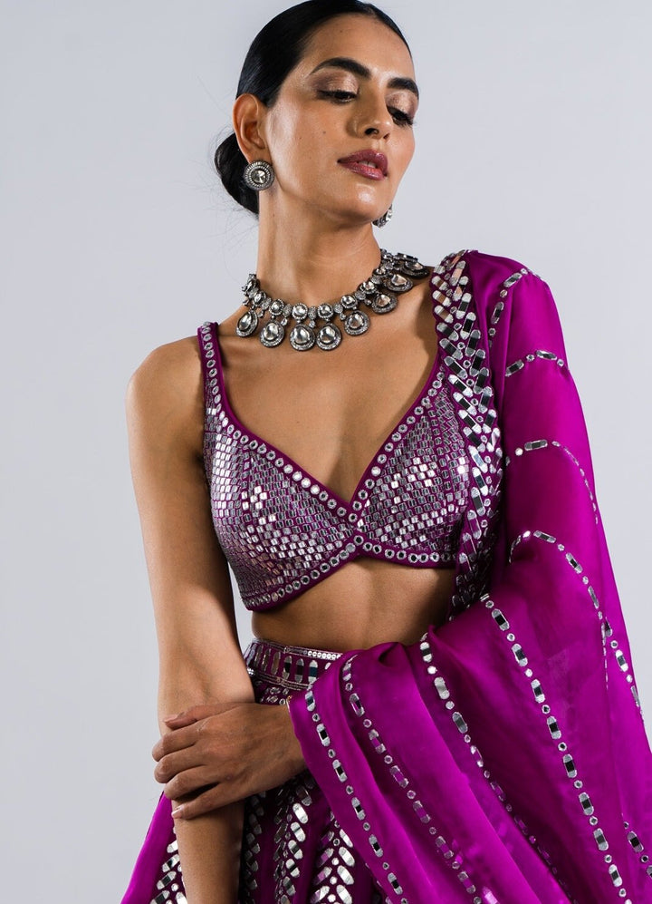 Pop Wine Single Linear Drop Mirror Lehenga With Metallic Sequinned Blouse Vvani by Vani Vats - Fabilicious Fashion