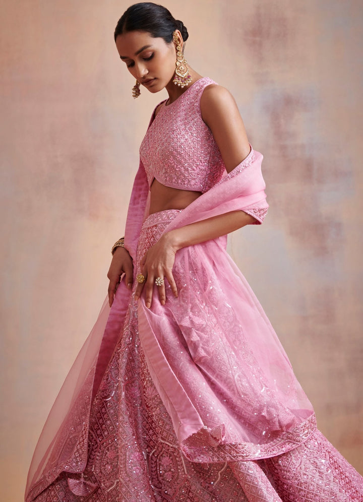 Radha Pink Embroidered Lehenga Set Suhino - Fabilicious Fashion