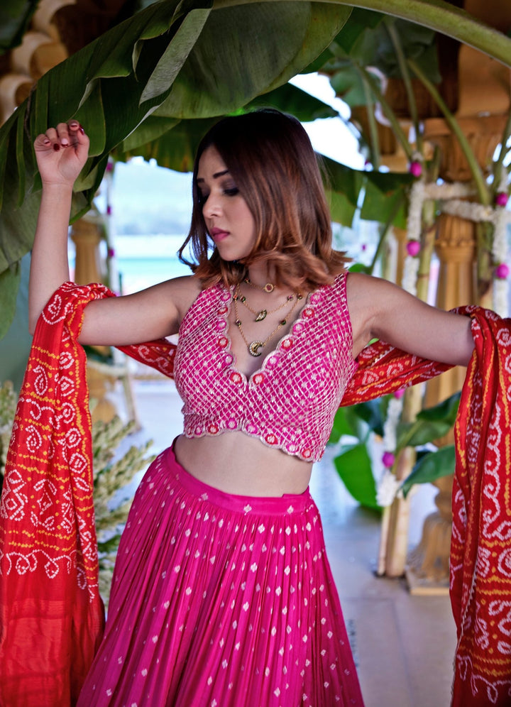 Rani Pink Embroidered Lehenga Set Chamee and Palak - Fabilicious Fashion