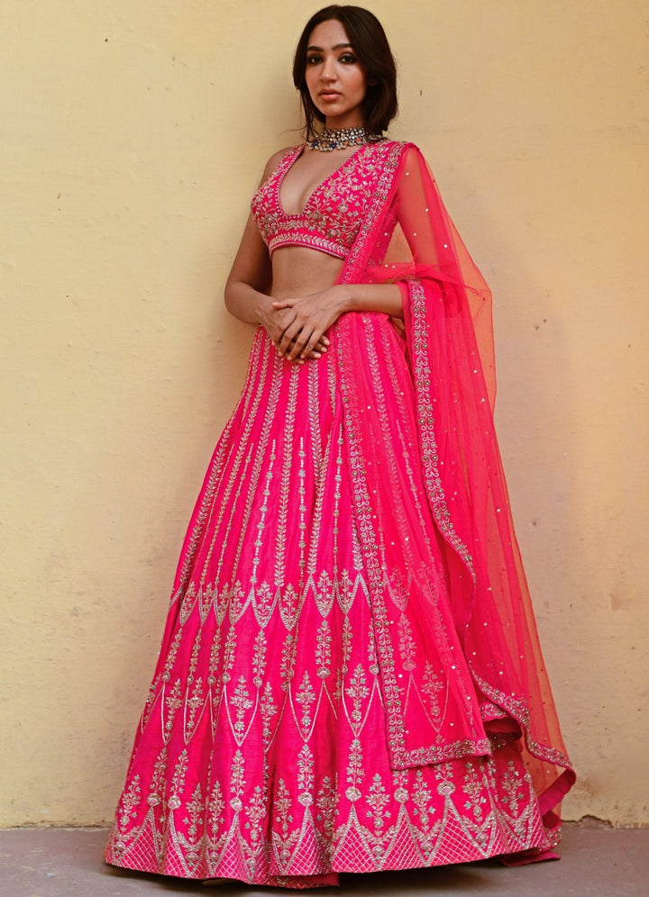 Rani Pink Resham and Zari Lehenga Set Chamee n Palak - Fabilicious Fashion