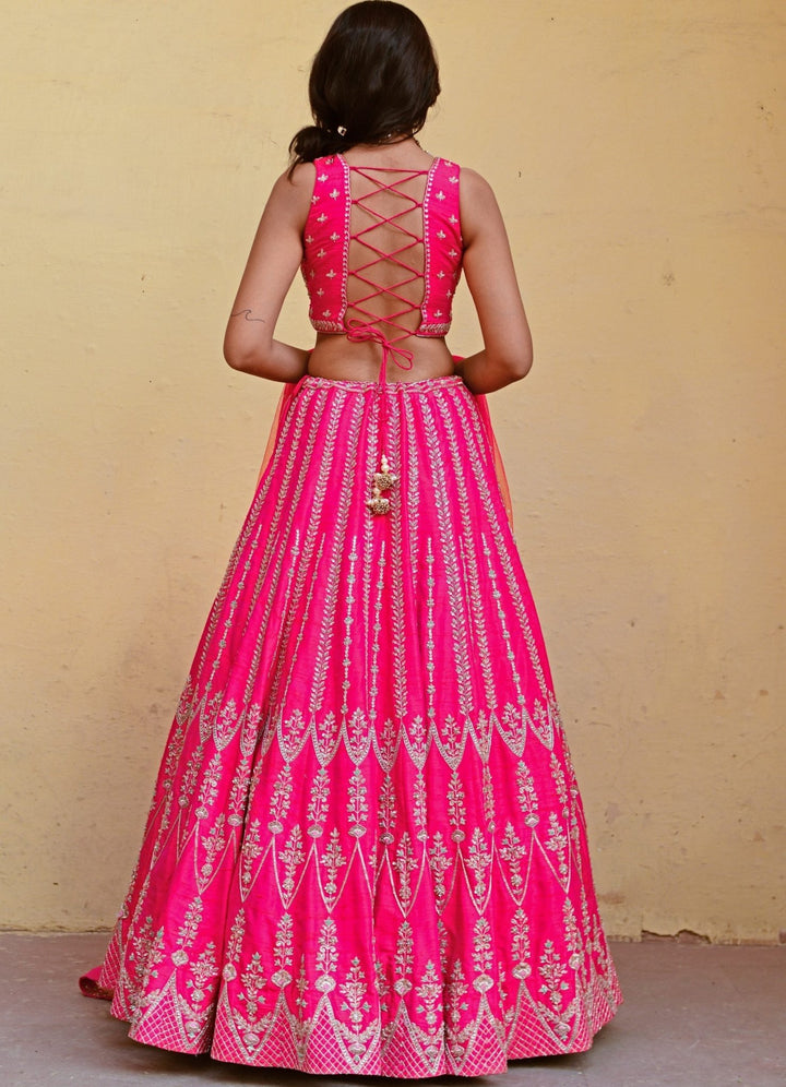 Rani Pink Resham and Zari Lehenga Set Chamee n Palak - Fabilicious Fashion