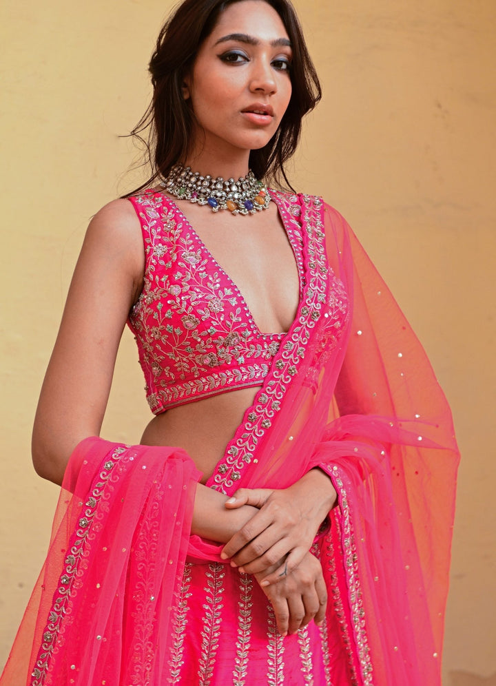 Rani Pink Resham and Zari Lehenga Set Chamee n Palak - Fabilicious Fashion