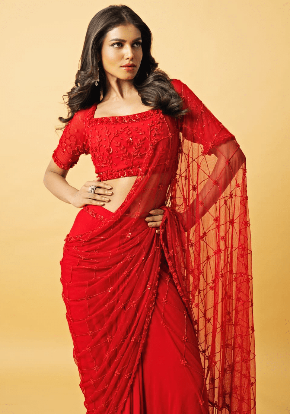 Red Embroidered Pre Draped Saree Quench A Thirst - Fabilicious Fashion