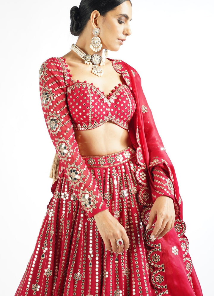 Regal Red Small Flower Linear Lehenga Set Vvani by Vani Vats - Fabilicious Fashion