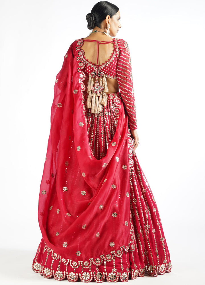 Regal Red Small Flower Linear Lehenga Set Vvani by Vani Vats - Fabilicious Fashion