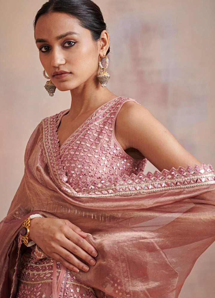 Roop Plum and Onion Pink Embroidered Lehenga Set Suhino - Fabilicious Fashion
