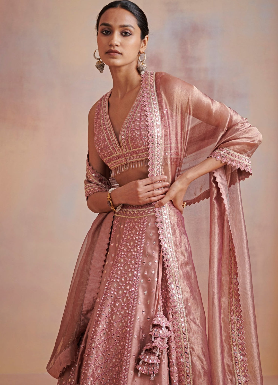 Roop Plum and Onion Pink Embroidered Lehenga Set Suhino - Fabilicious Fashion